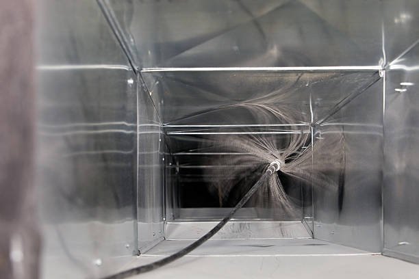 Air Duct Mold Removal in Grandwood Park, IL